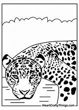 Iheartcraftythings Jaguars sketch template