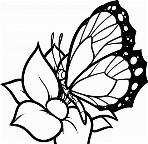 cartoon butterfly coloring pages  getdrawings