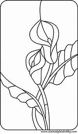 Glass Lily Stained Calla Patterns Pages Coloring Lilies Lillies Painting Printable Flower Quilt Getdrawings Templates Template Sheets Visit Flowers Choose sketch template