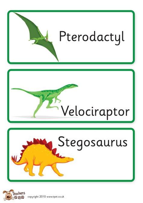 teachers pet dinosaur labels  classroom display resource