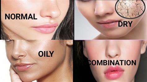 skin types normal dryoilycombination sensitive ani