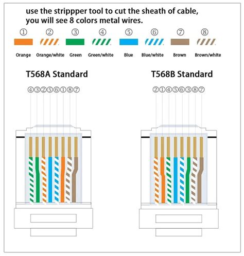 rj color code cat logete