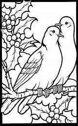Christmas Turtle Doves Coloring Pages Days Two Bird Birds Stained Glass Colouring Visit Dove Choose Board Flower sketch template
