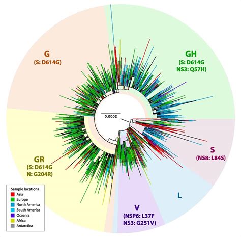 dg mutation   dominant variant   global covid  pandemic