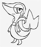 Snivy Delphox Pngkey Eevee Evolutions sketch template