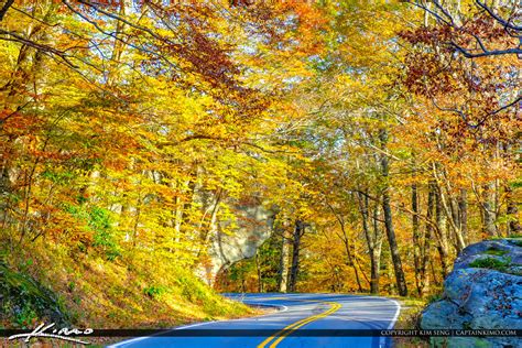 blue ridge parkway road fall colors yellow colors nc royal stock photo