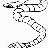 Snake Sea Garter Coloring Getdrawings Drawing sketch template