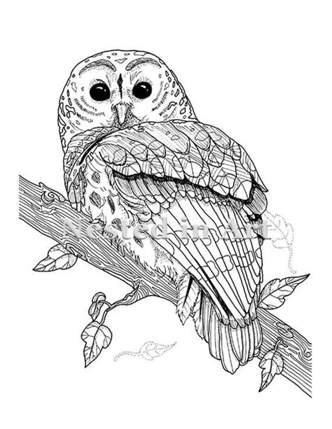 owl coloring pages coloring books original drawing original art
