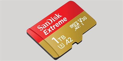 sandisks tb micro sd card  perfect   switch   finally   buy