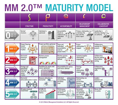 matrix management  maturity model mmi