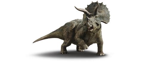 Triceratops Jurassic World