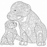 Coloring Pages Dog Puppy Lab Printable Adults Cats Chocolate Cat Pet Labrador Mandala Adult Kitten Animal Kids Retriever Mandalas Easy sketch template