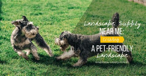 landscape supply   creating  pet friendly landscape