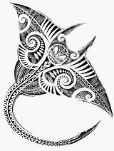 Maori Polynesian Manta Raie Tatuaje Mantarraya Samoan Desenhos Tribales Tatuaggi Hooking Meanings Tatoo Mahori Hawaianos Samoano Tatuaggio Fosterginger Significados Imprimer sketch template