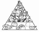 Food Pyramid Coloring Go Grow Glow Pages Foods Drawing Egyptian Groups Getdrawings Getcolorings Color Popular sketch template