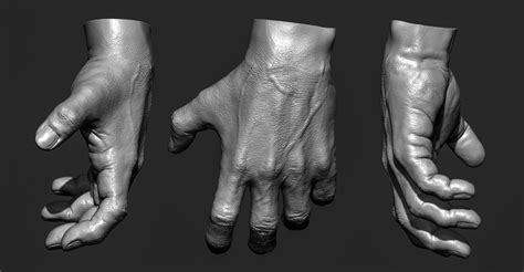 realistic male hand   model cgtrader