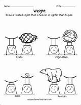 Heavier Lighter Worksheets Cleverlearner Preschoolers sketch template
