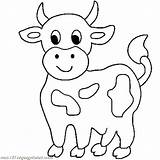 Cow Coloring Pages Cute Cows Little Drawing Longhorn Simple Animals Outline Color Printable Animal Print Head Colouring Baby Drawings Farm sketch template