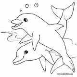 Dolphin Coloring Pages Print Color Kids sketch template