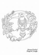 Basford Johanna Jungle Magical Toucan Coloring Pages Book Books Postcards Colouring Adult Choose Board Inky Adults sketch template