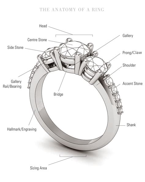 anatomy   ring moores jewellers