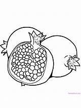 Pomegranate Pomegranates Identical sketch template