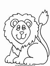 Colorare Disegni Lion Leone Lions Leoni Colorear Selva sketch template
