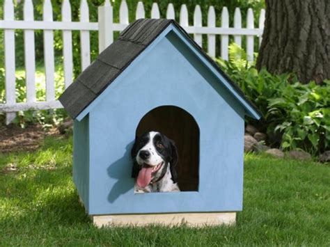 diy snoopy dog house plans   build today  pictures hepper