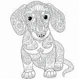 Dieren Hond sketch template