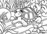 Schildpad Coloring Pages Animal Turtle Schildpadden Sports Summer Kids Drawings Outline Embroidery Patterns Book Bead Happy Baby Van Pattern sketch template