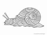 Snail Gemischte Heruntergeladen Partie Malvorlagen sketch template