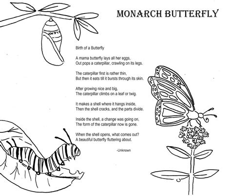 butterfly butterfly coloring page monarch butterfly butterfly life
