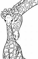 Girafa Pintar Girafas Poplembrancinhas sketch template