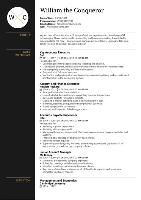 executive account manager resume sample resume samples career
