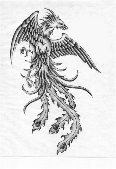 images  phoenix drawings  pinterest phoenix bird