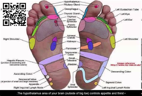 Foot Reflexology 7 Pressure Points To Reduce Stress And Bo Youtube