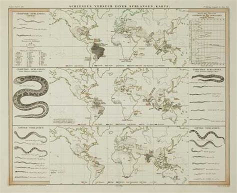 map showing snake population   world  schlegels