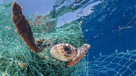 fischernetze machen mehr als  der kunststoffabfaelle  den meeren