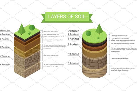 soil layers infographic custom designed illustrations creative market