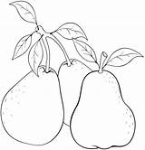 Guava Fruits Dina Khairy sketch template