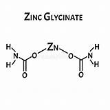 Zinc Glycinate sketch template