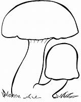 Fungus Clipart Fungo Yeast 20clipart Template Coloring Clipground sketch template