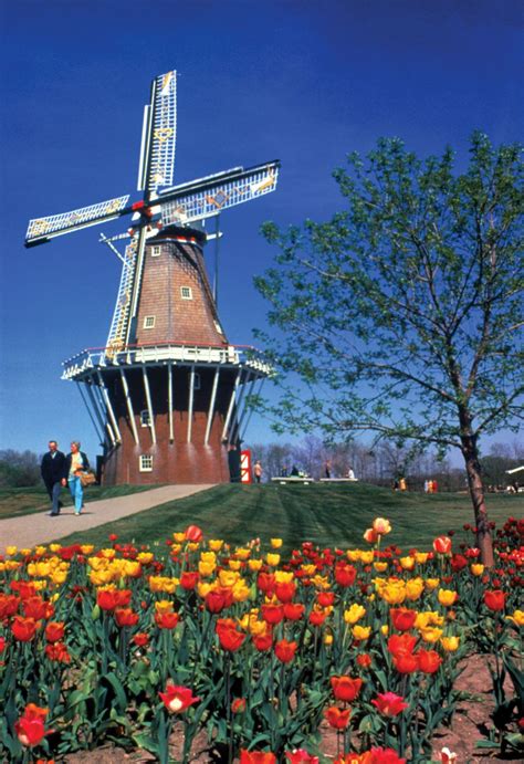 holland great lakes dutch heritage tulip time britannica