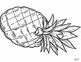 Coloring Pineapple Pages sketch template