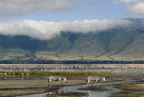Top 10 Unmissable African Safari Destinations