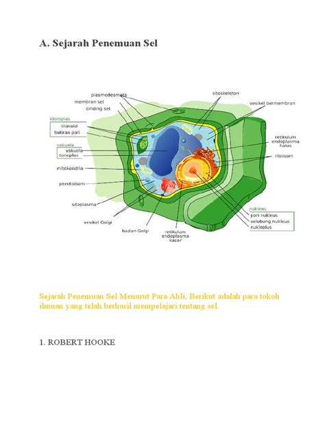 Sejarah Penemuan Sel Pdf