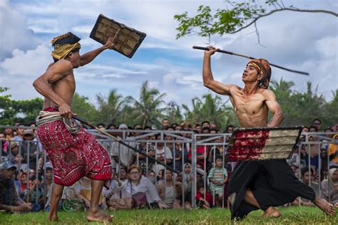 mengenal peresean tradisi adu ketangkasan suku sasak pulau lombok  mandalika