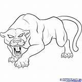 Panther Drawing Animal Coloring Pages Kids Spiderman Pantera Drawings Outline Print Head Dibujo Panthers Colouring Draw Easy Negra Printable Angry sketch template