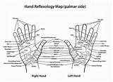 Reflexology Hand Chart Charts Massage Map Holistic Tom Living Google sketch template