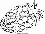 Blackberry Fruit Drawing Clipartmag sketch template